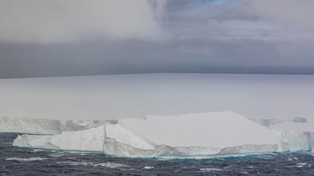 A23a Iceberg Heads Toward South Georgia Island 