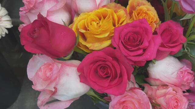 bright-pop-flowers.jpg 