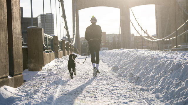 Major Snowstorm Pummels Minneapolis/St Paul Area 