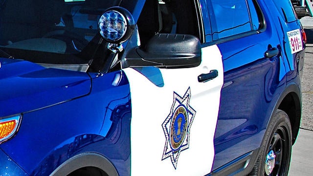 lights logo, police logo, crime logo, 