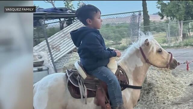 stolen-pony.jpg 